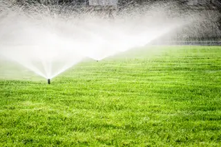 Healthy irrigated lawn and landscaping in Johnson County, Kansas