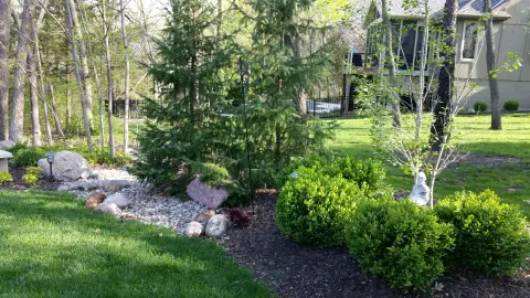 Landscaping project